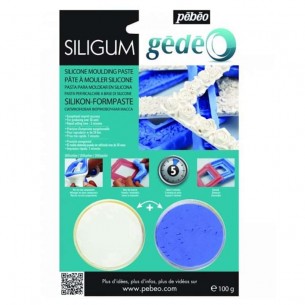 Siligum Moulding Paste (100g)