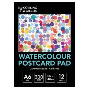 Bockingford Rough Surface Watercolour Paper 300gsm 38 x 28 cm (Pack of 20  Sheets)