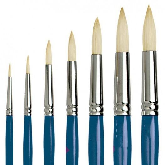 Series C Studio Hog Round Series C Studio Hog Round