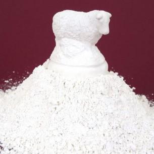 Plaster of Paris (1kg)