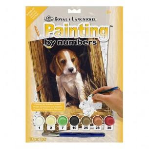 Painting By Numbers Set Painting By Numbers Set