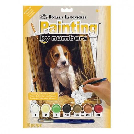 Painting By Numbers Set Painting By Numbers Set