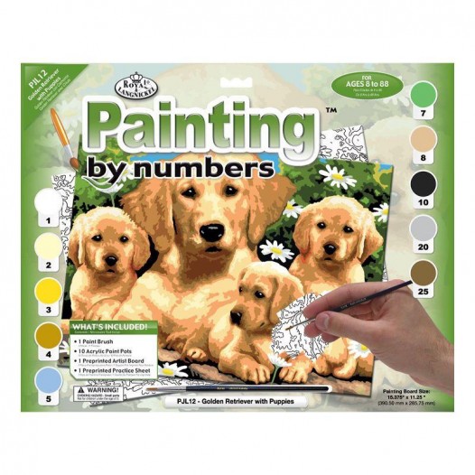 Painting By Numbers Set