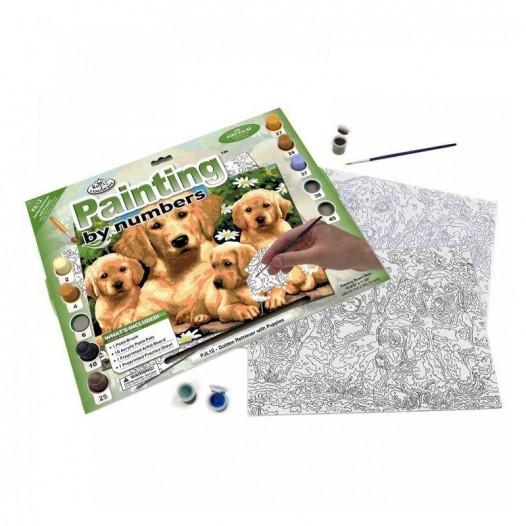 Painting By Numbers Set Painting By Numbers Set