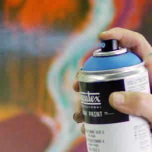 Pro Acrylic Spray Paint Standard Caps (6pc) Pro Acrylic Spray Paint Standard Caps (6pc)