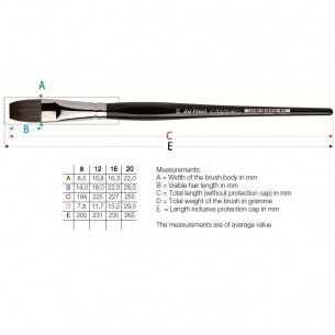 Casaneo Series 5898: Flat Brush Measurements