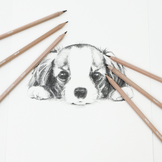 Daler-Rowney Simply Sketching Pencils Daler-Rowney Simply Sketching Pencils