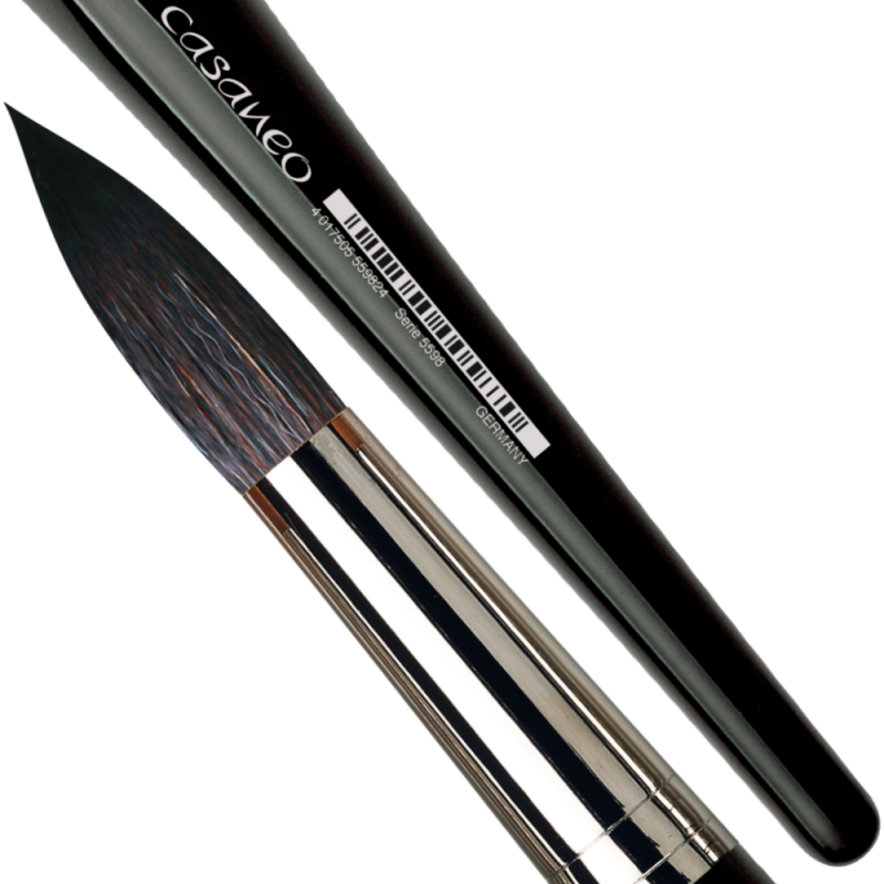 da Vinci Brushes 5598 Casaneo Round (Sizes 0,1,2,3,4) Artist Brush Set,  Black, 5 Count