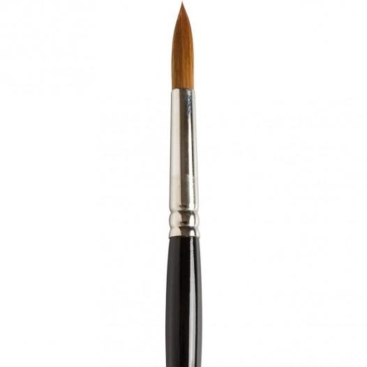 Series 101 Prolene Watercolour Brush - Round (individual) Series 101 Prolene Watercolour Brush - Round (individual)