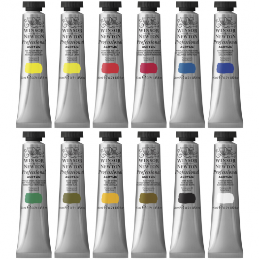 Professional Acrylic Colour Set (12 x 20ml)