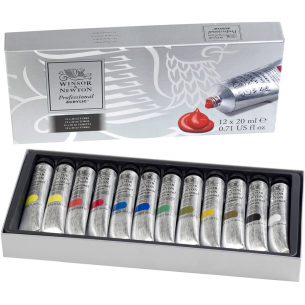 Professional Acrylic Colour Set (12 x 20ml)