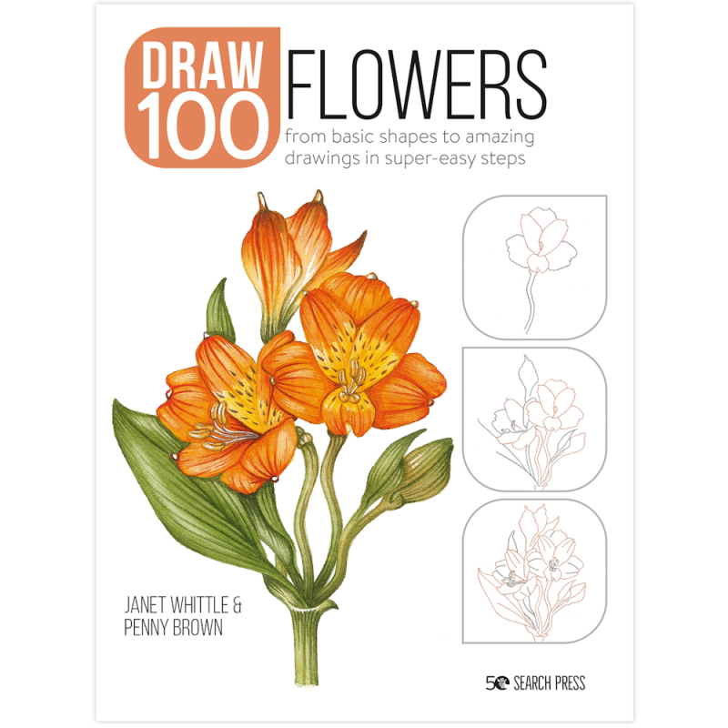 Draw 100 Flowers