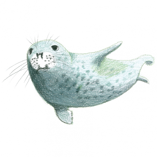 Draw 100 Animals Draw 100 Animals