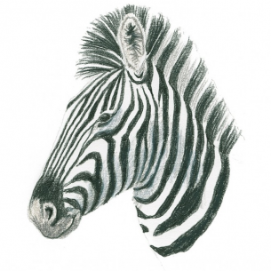 Draw 100 Animals Draw 100 Animals