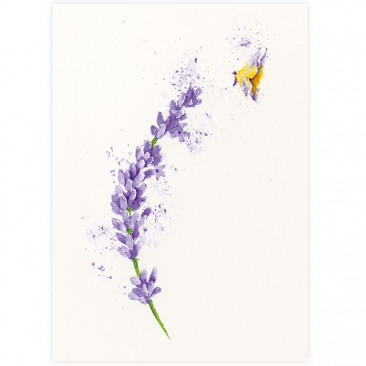 Painting with Brusho lavender Painting with Brusho lavender