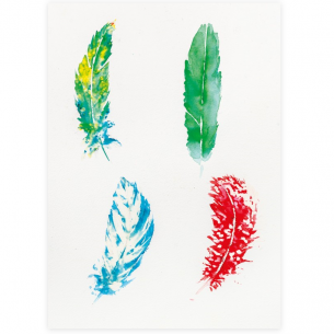 Painting with Brusho feathers