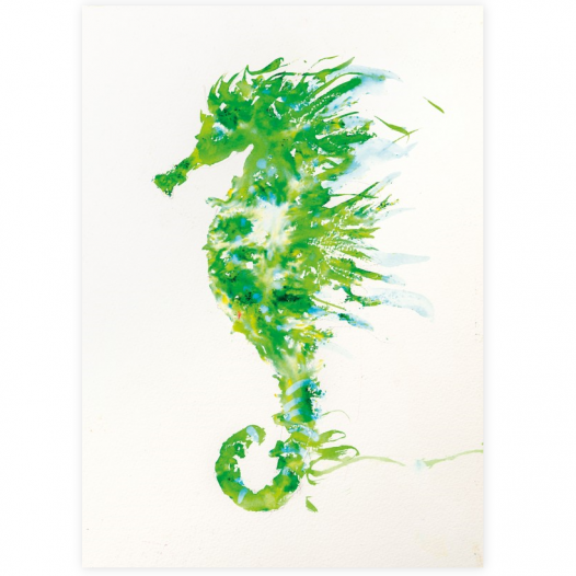 Painting with Brusho seahorse Painting with Brusho seahorse