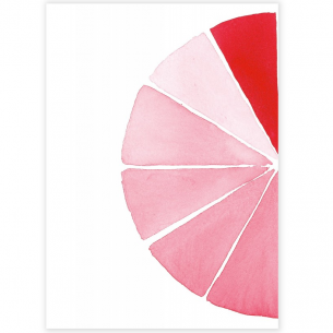 The Colour Mixing Companion red The Colour Mixing Companion red