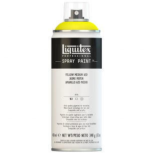 Professional Spray Paint (400ml)