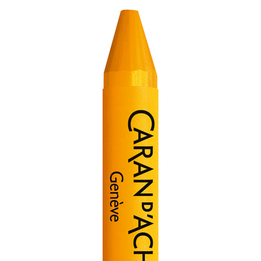 Caran d'Ache Neocolor II Water Soluble Wax Pastels – Paper and Grace