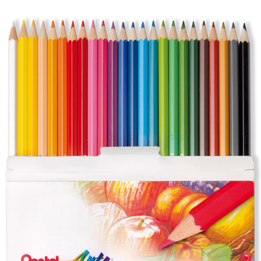 Colour Pencil Set (24pc)