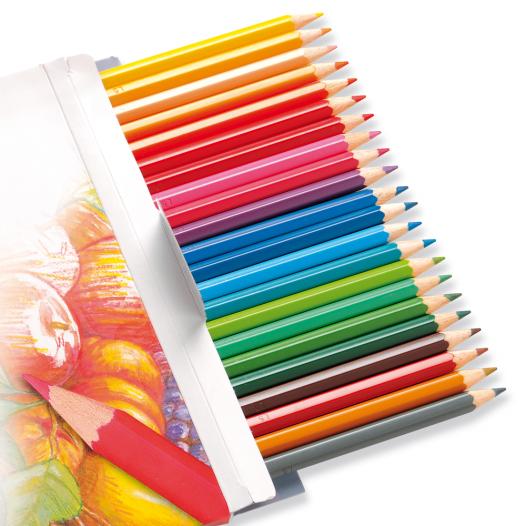 Colour Pencil Set (24pc)