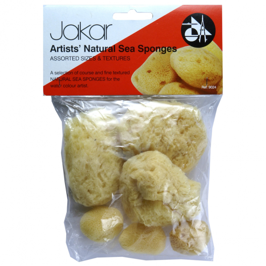 Assorted Natural Sea Sponges 9024 (10pc) Assorted Natural Sea Sponges 9024 (10pc)