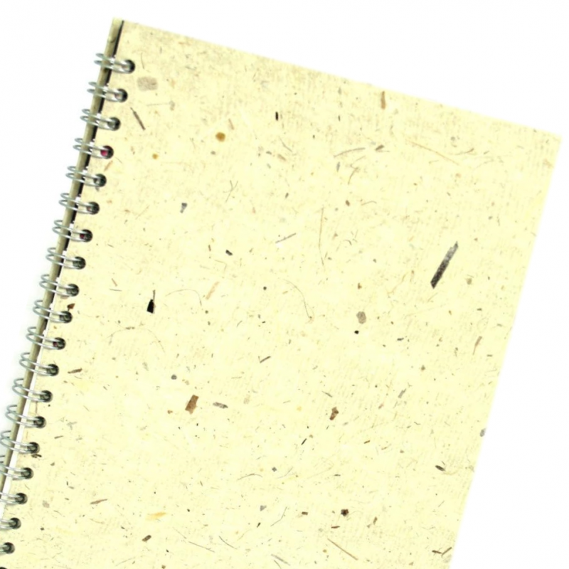 Posh Banana Pig Hardback A4 Sketchbook