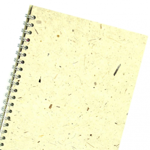 Posh Banana Pig Hardback A4 Sketchbook