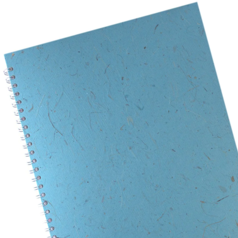 Posh Banana Pig Hardback A3 Sketchbook