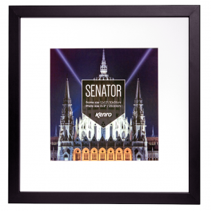 Black Senator Frames Black Senator Frames
