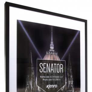 Black Senator Frames Black Senator Frames