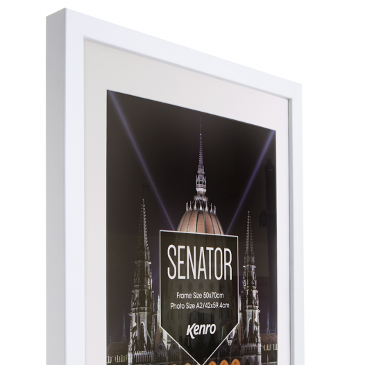 White Senator Frames White Senator Frames