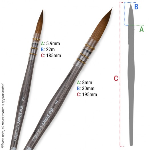 Colineo 442 Round Brush