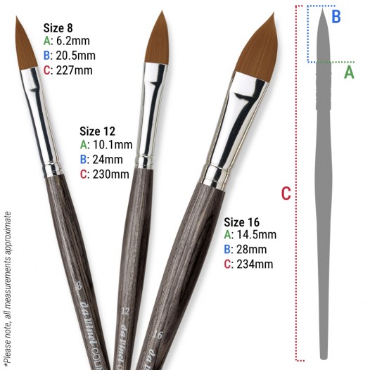 COLINEO 822 Oval Brush