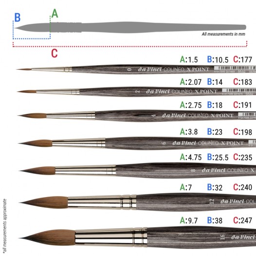 COLINEO X POINT 5532 Round Brush