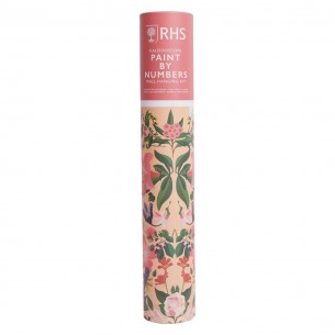 Kaleidoscope Paint By Numbers Kit