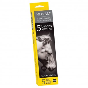 8mm Fine Art Charcoal B+ Sticks (5pc)