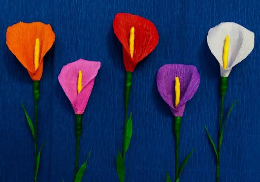 Colourful tulips made of tissue paper